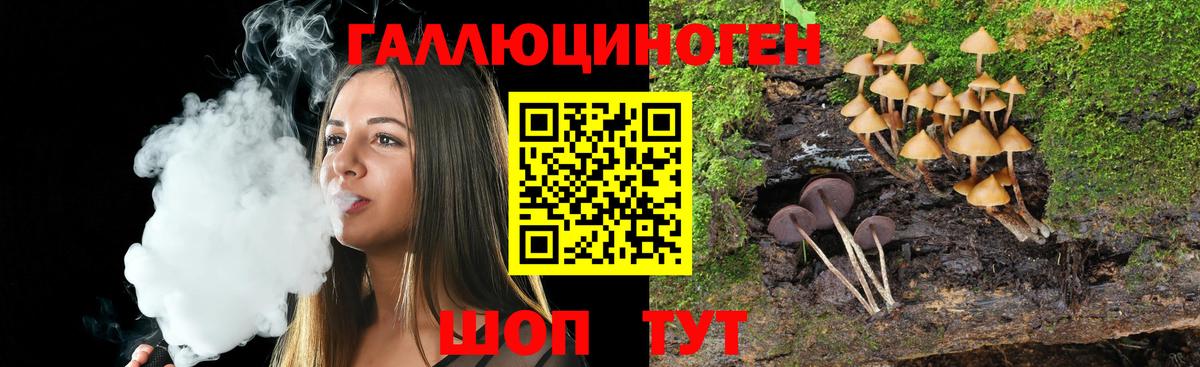 Псилоцибиновые грибы мухоморы Новокубанск